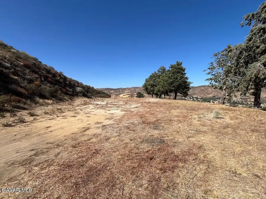 40007 W 92nd Street, Leona Valley, CA 93551 - #3