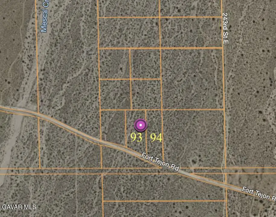 242nd East, On Fort Tejon Rd Lane, Llano, CA 93544 - #1