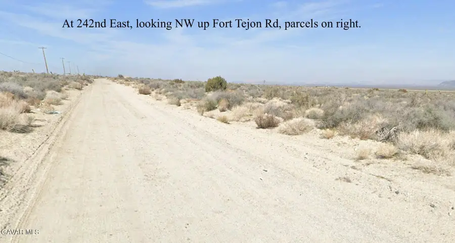 242nd East, On Fort Tejon Rd Lane, Llano, CA 93544 - #2