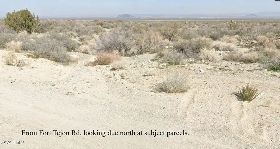 242nd East, On Fort Tejon Rd Lane, Llano, CA 93544 - #3