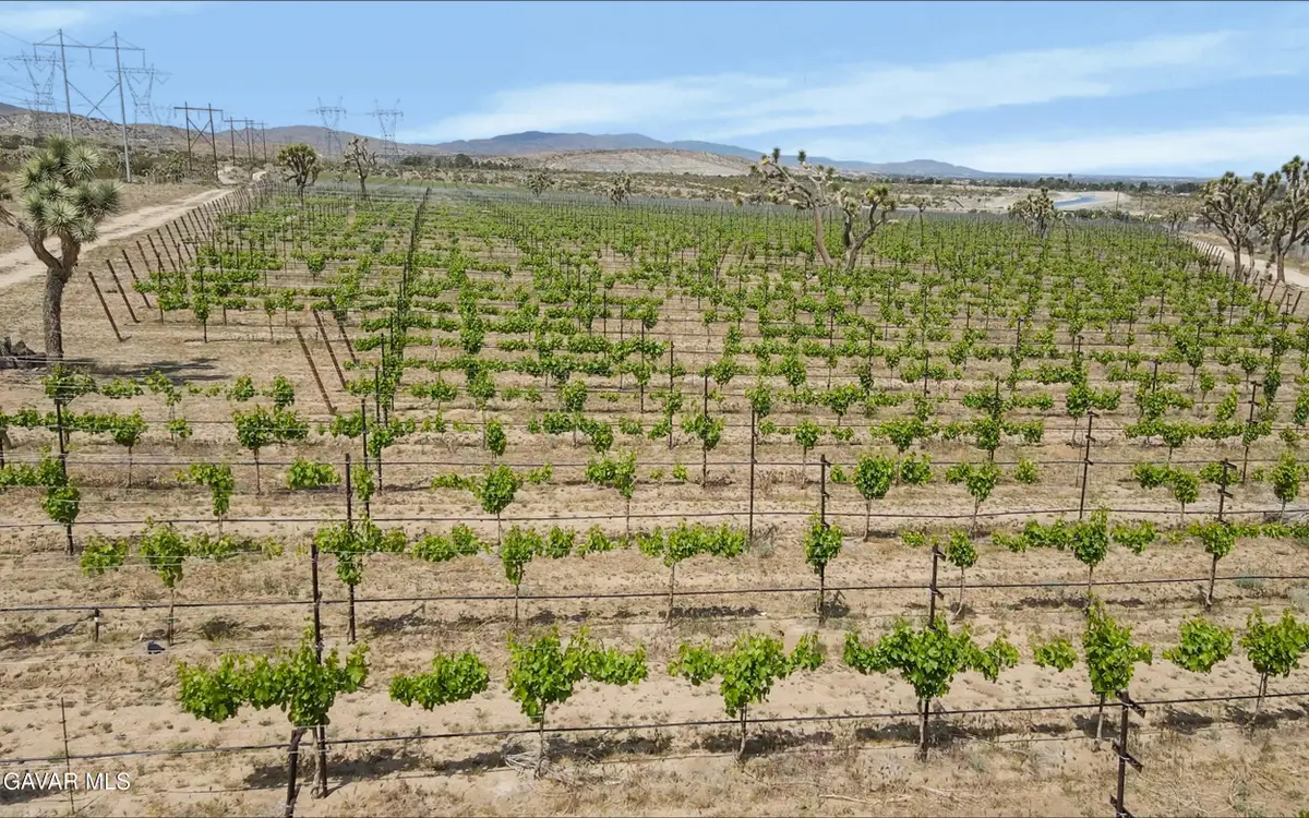 0 Ft Tejon Vic 82nd Ste Road, Palmdale, CA 93550 - #1