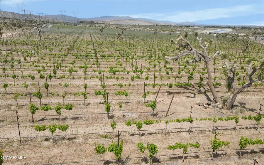 0 Ft Tejon Vic 82nd Ste Road, Palmdale, CA 93550 - #2