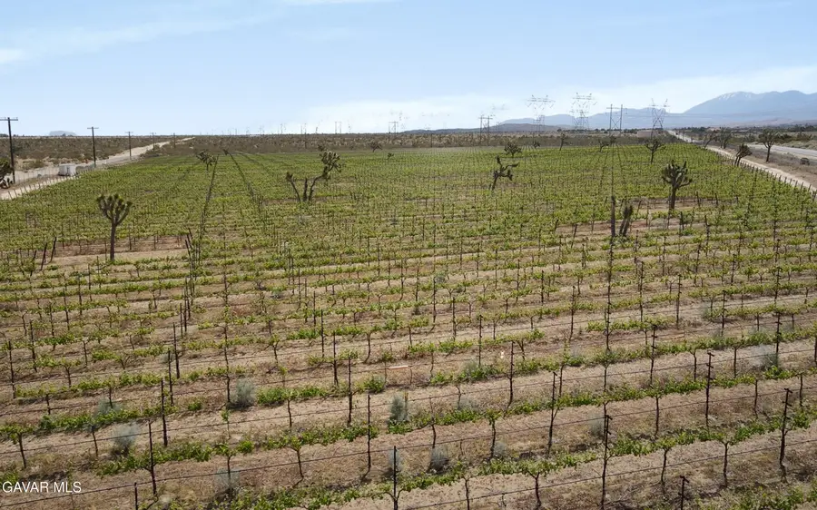 0 Ft Tejon Vic 82nd Ste Road, Palmdale, CA 93550 - #3