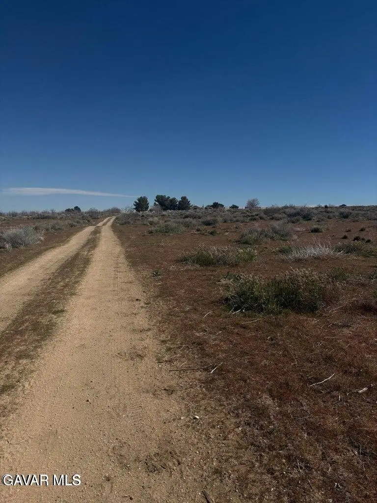 225 Ste Drt Vic Avenue Y4 Ste, Llano, CA 93544 - #2