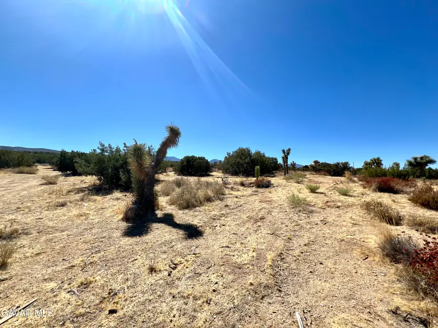 E Vic Avenue Y8 208 Ste, Llano, CA 93544 - #3