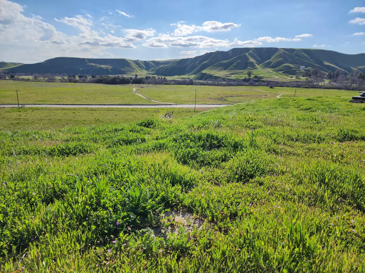 Round Mountain Road, Bakersfield, CA 93308 - #1