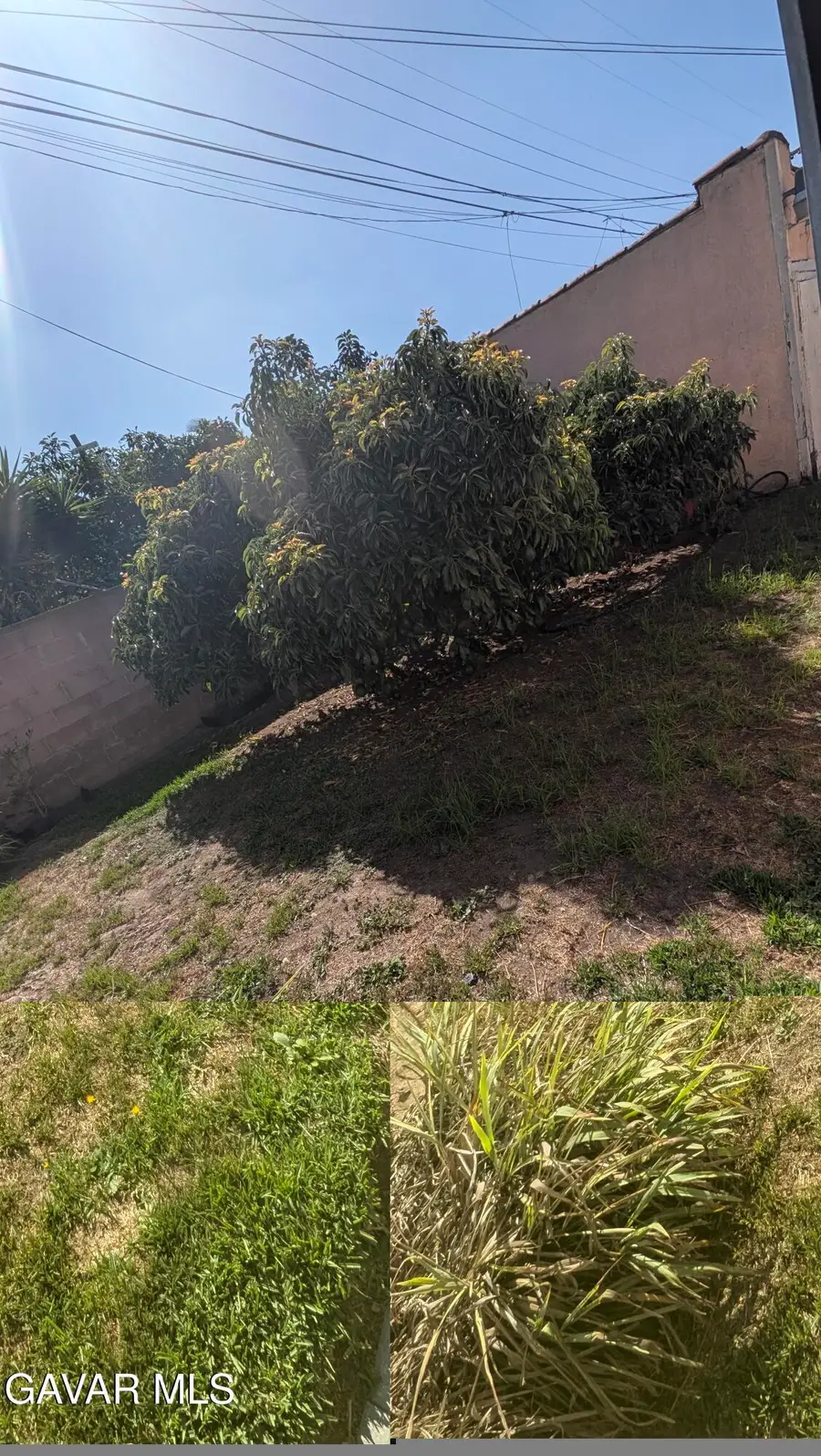 1930 S Palm Grove Avenue, Los Angeles, CA 90016 - #3