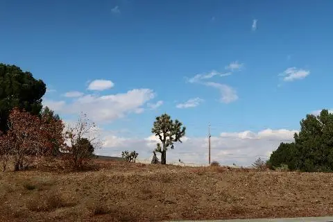 Camino Hermanos, Lancaster, CA 93536 - #1