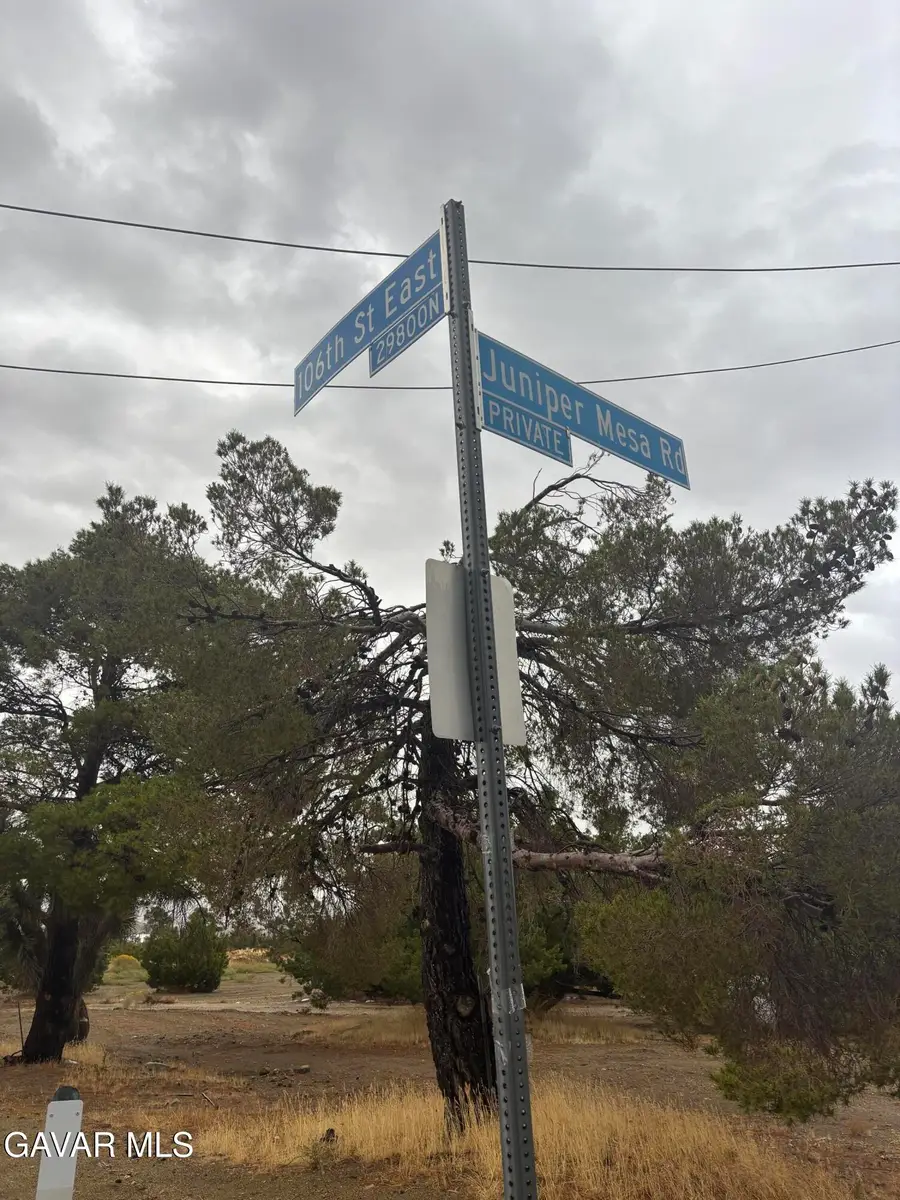 106th Juniper Hills Off Juniper Mesa, Juniper Hills, CA 93543 - #2