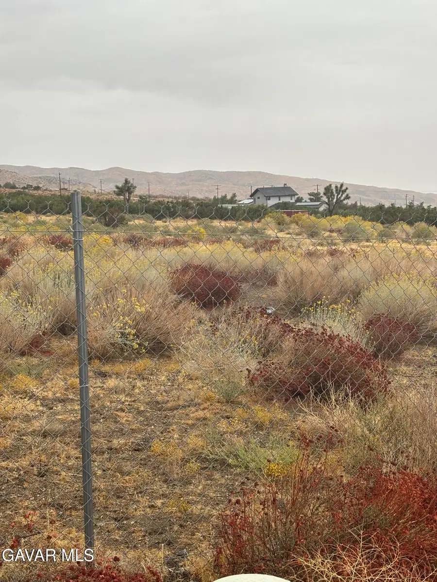 106th Juniper Hills Off Juniper Mesa, Juniper Hills, CA 93543 - #3