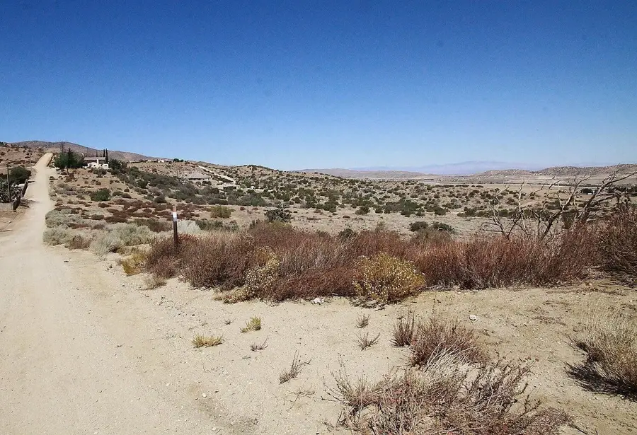 Barrel Springs & Camares 25ac, Palmdale, CA 93551 - #2