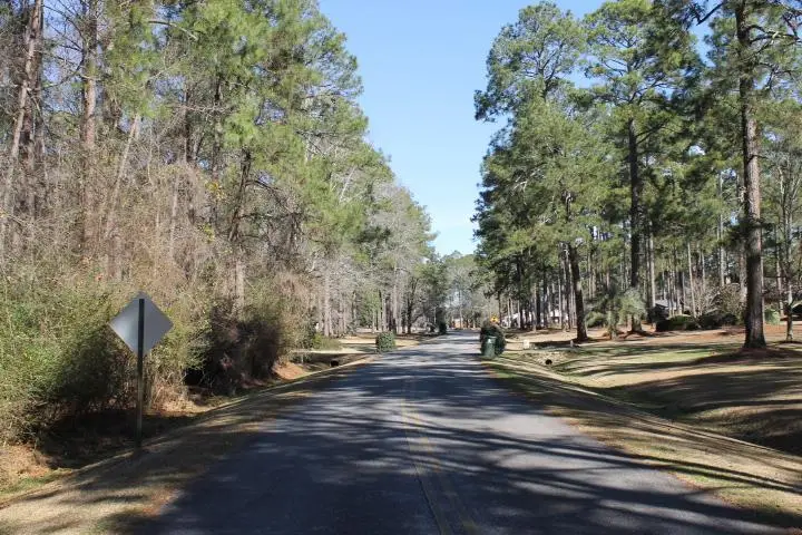 lot 47 Greenwood Drive, Americus, GA 31709 - #1