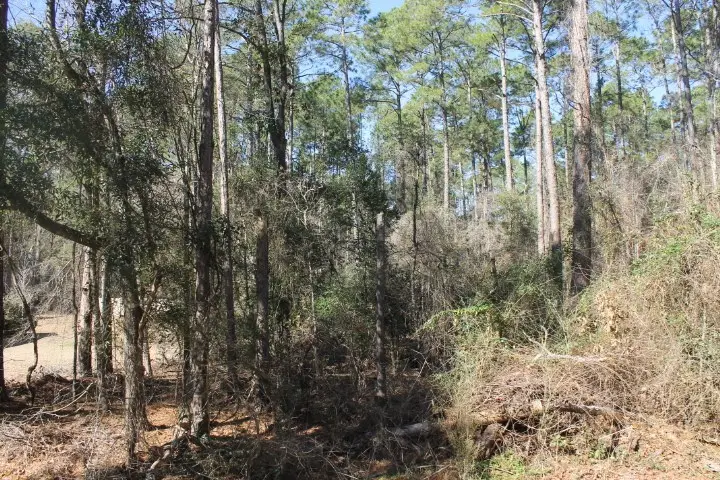 lot 47 Greenwood Drive, Americus, GA 31709 - #2