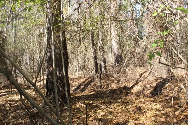 lot 47 Greenwood Drive, Americus, GA 31709 - #3