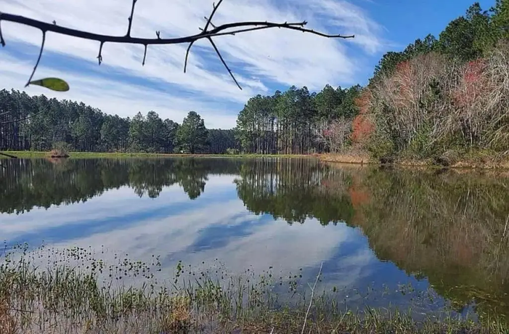 221 W 1st Street, Arabi, GA 31712 - #1