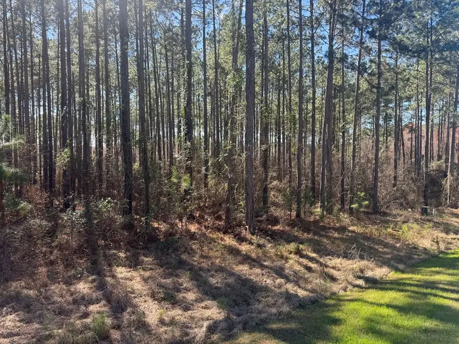 221 W 1st Street, Arabi, GA 31712 - #3