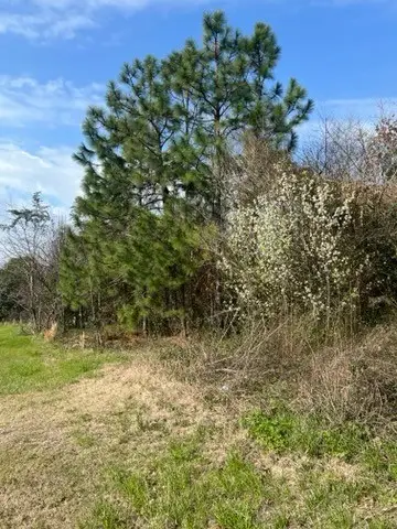 367 Pine Street, Unadilla, GA 31091 - #3