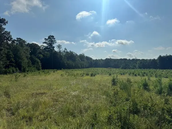 TBD East Lamar Street, Americus, GA 31709