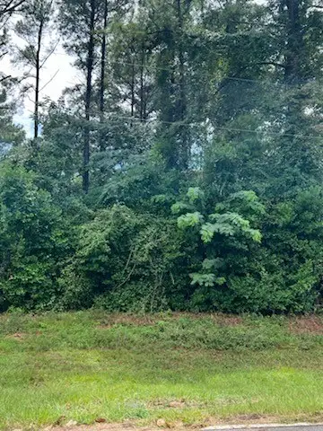 TBD N Spring Creek Circle, Cobb, GA 31735 - #3