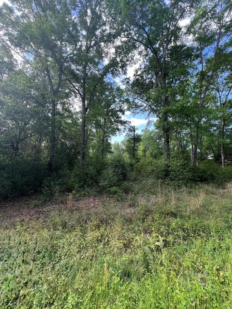 TBD Cork Ferry Rd., Cordele, GA 31015 - #1