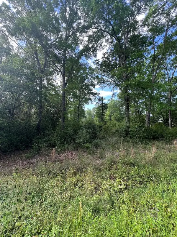 TBD Cork Ferry Rd., Cordele, GA 31015