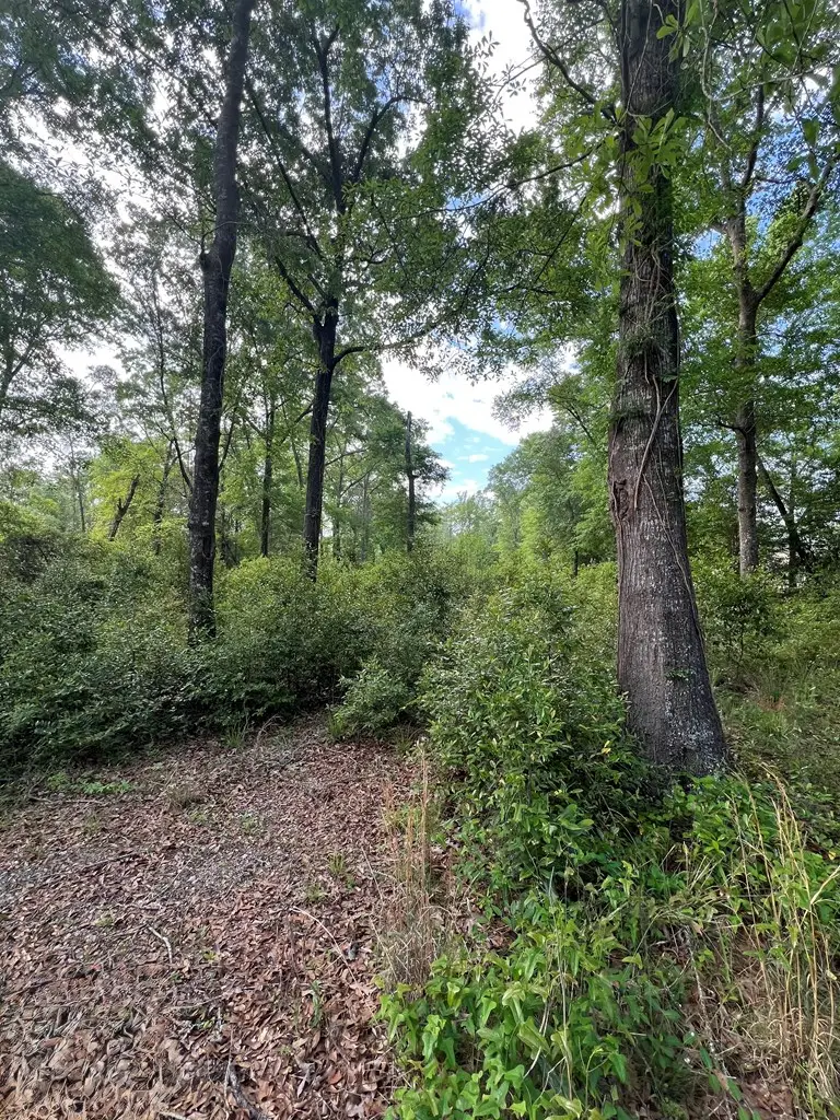 TBD Cork Ferry Rd., Cordele, GA 31015 - #2
