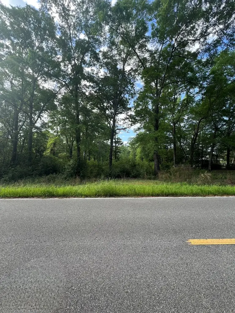 TBD Cork Ferry Rd., Cordele, GA 31015 - #3