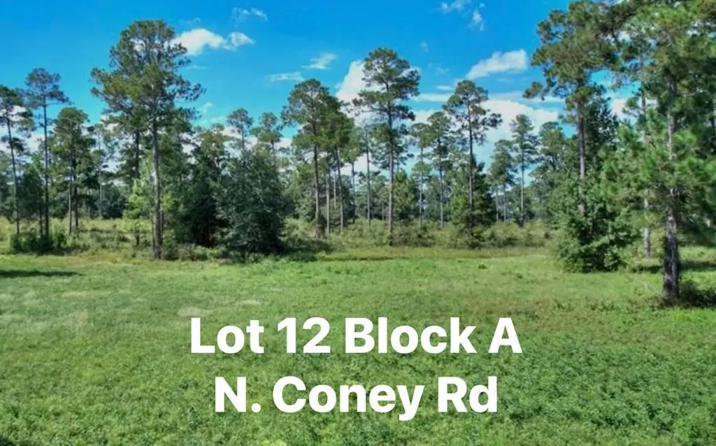 TBD N Coney Rd. Lot 12 Block A, Cordele, GA 31015 - #1