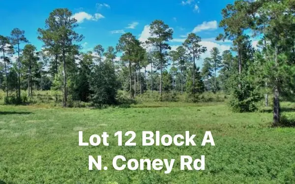 TBD N Coney Rd. Lot 12 Block A, Cordele, GA 31015