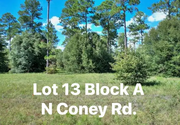 TBD N Coney Rd. Lot 13 Block A, Cordele, GA 31015