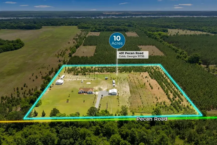 491 Pecan Rd., Cobb, GA 31735 - #2
