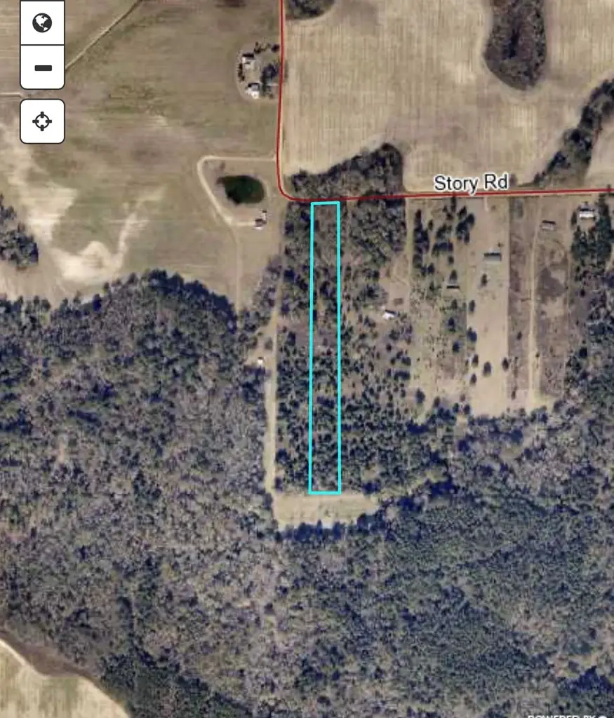 TBD Story Rd. Lot#2, Arabi, GA 31712 - #2