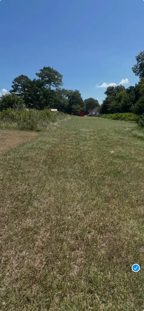 TBD Woodward St., Vienna, GA 31092