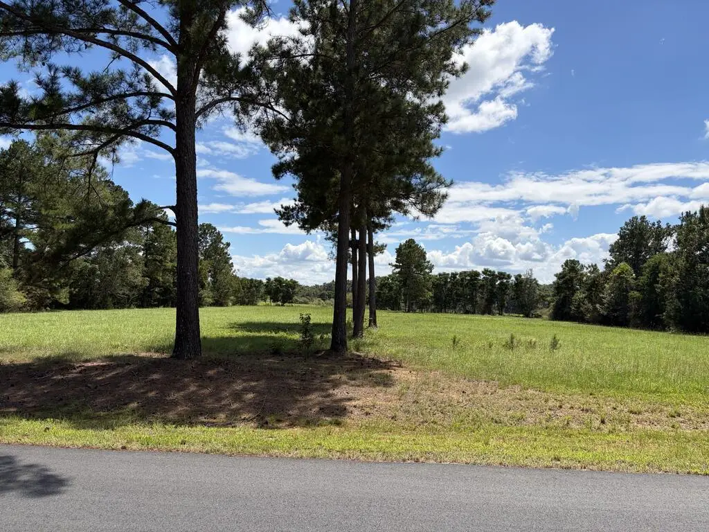 136 Rockwood Drive, Americus, GA 31709 - #1