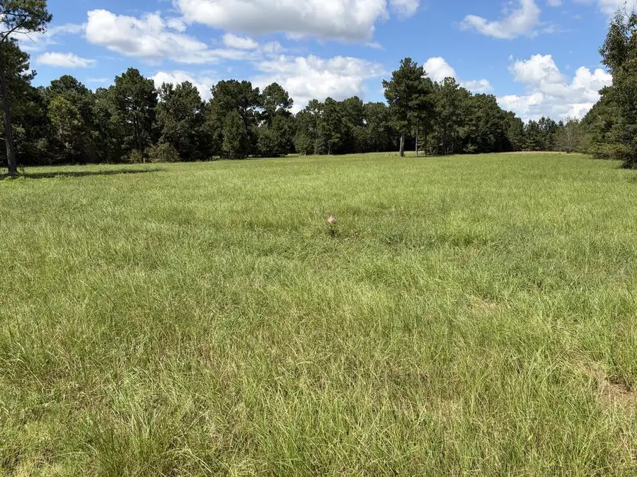 136 Rockwood Drive, Americus, GA 31709 - #2