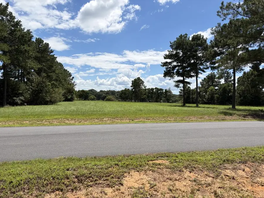136 Rockwood Drive, Americus, GA 31709 - #3