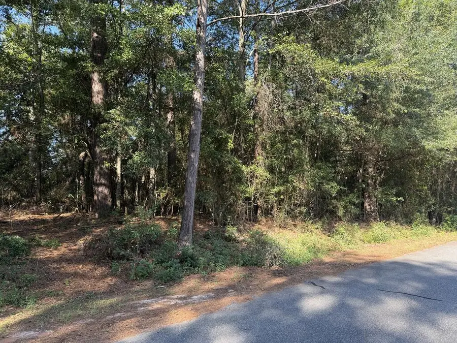 Lot 130 Starling Rd, Americus, GA 31719 - #2