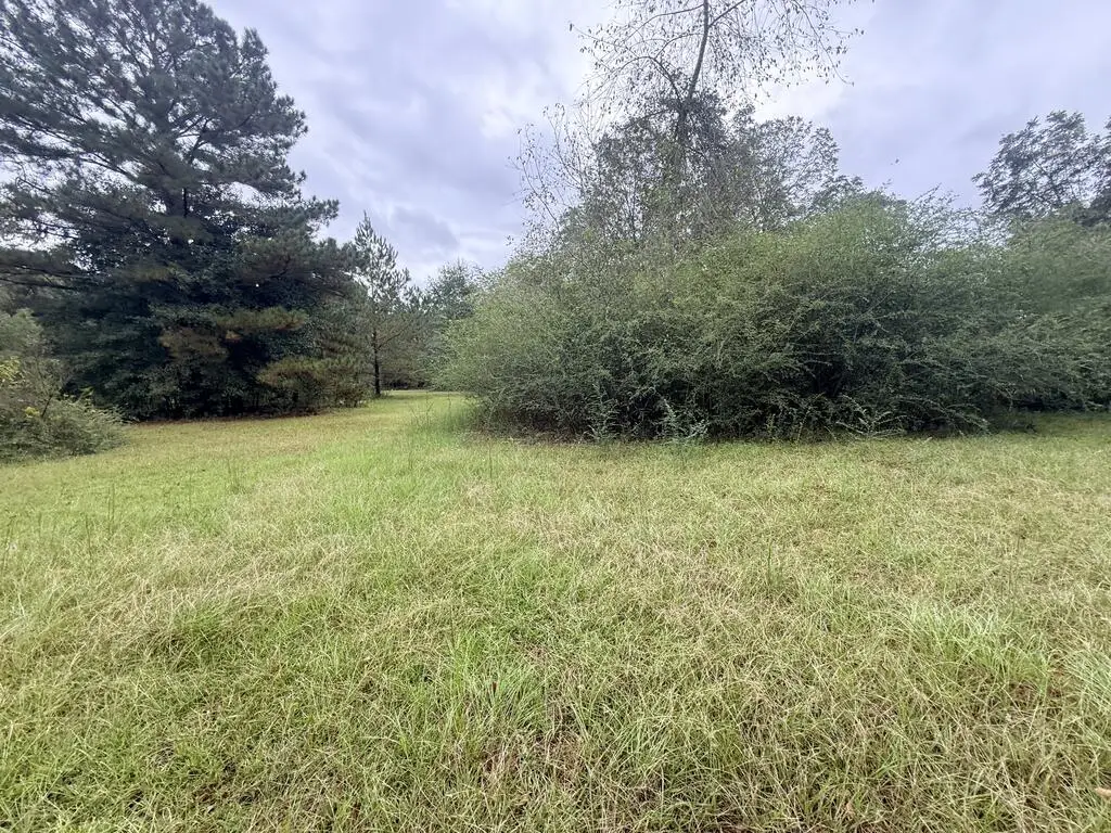 802 C Mcmath Mill Rd, Americus, GA 31719 - #1