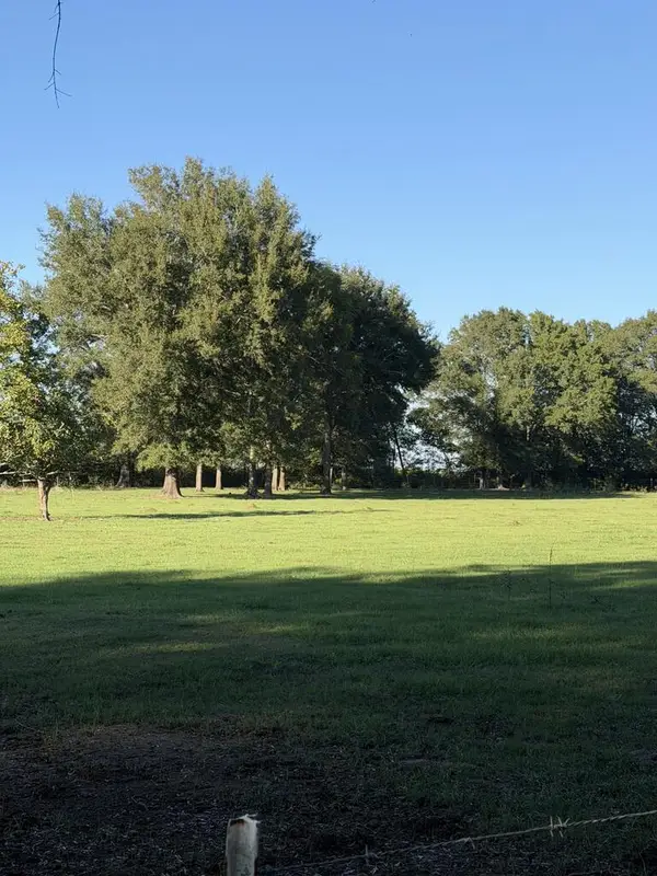 137 141,145 Lots Dixon Dr, Cobb, GA 31735