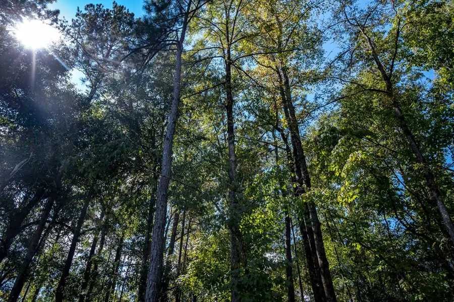 8809 Creekrise Drive, Columbus, GA 31904 - Image #3