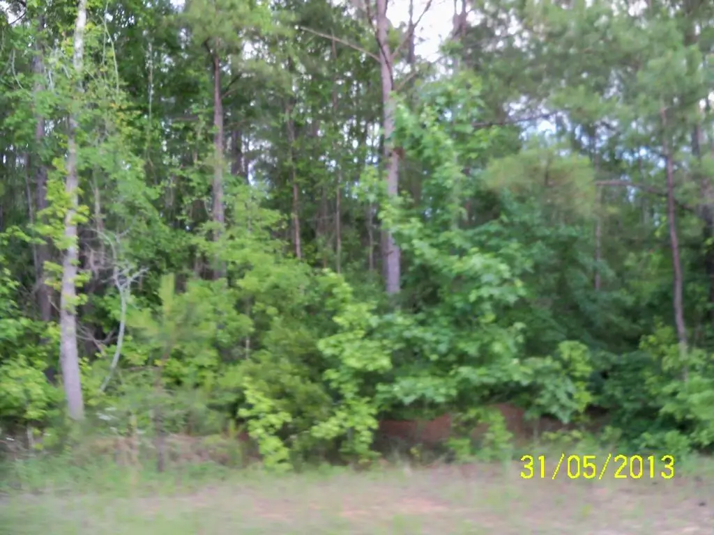 0 Old Louvale Road, Cusseta, GA 30805 - Image #1