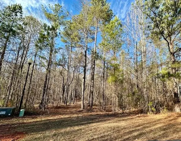 Lot 18 Oak Ridge Drive, WAVERLY HALL, GA 31831