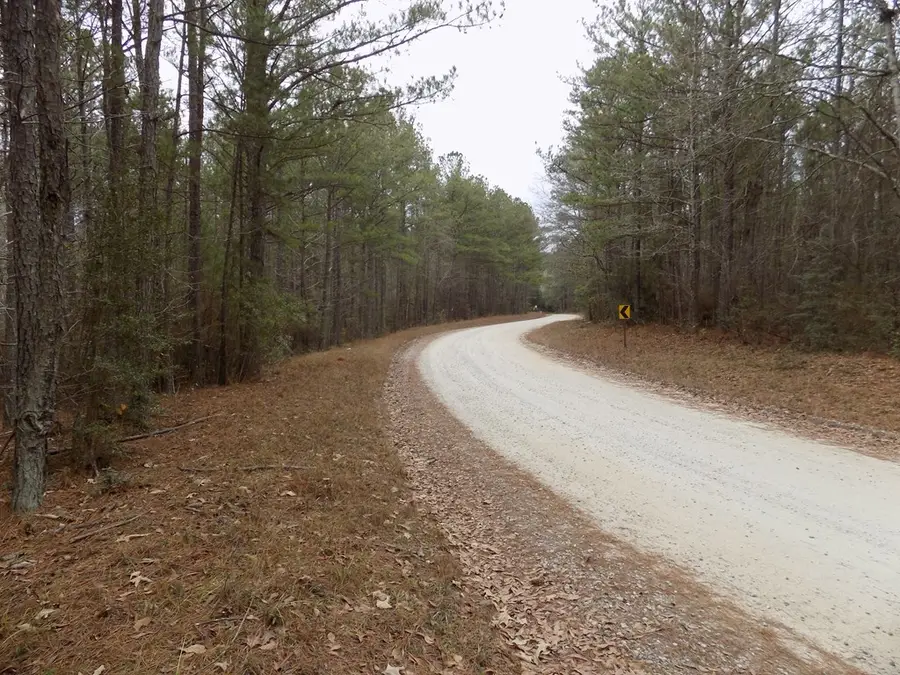 0A Lower Blue Springs Road, Hamilton, GA 31811 - Image #2