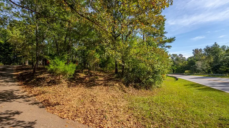 0 Lickskillet Drive, Hamilton, GA 31811 - Image #2