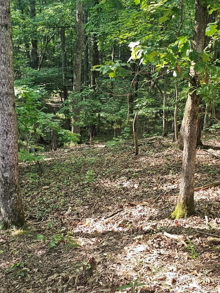 BLOCK 21 LOT 01 Juniper Trail, Waverly Hall, GA 31831 - Image #1