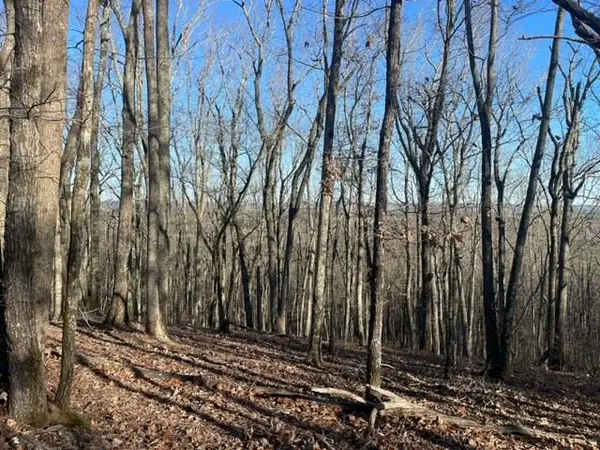 00Lot3 & Lot 4 Mountain Ridge Drive, WAVERLY HALL, GA 31831