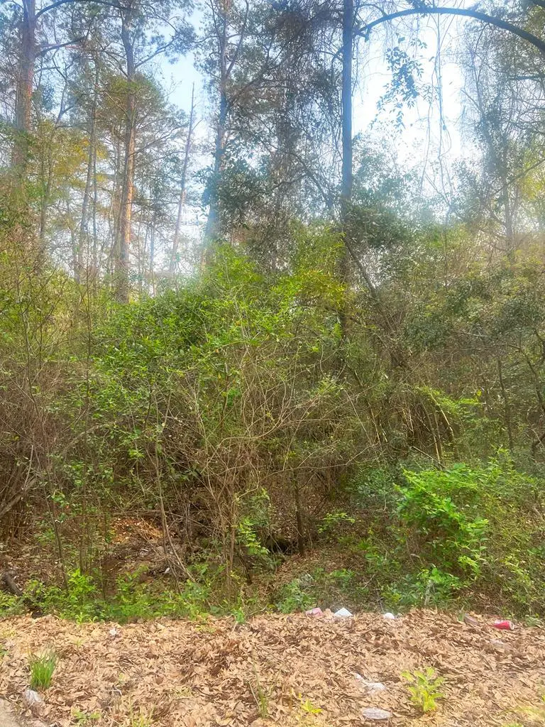 0 4th Street, Phenix City, AL 36869 - Image #1