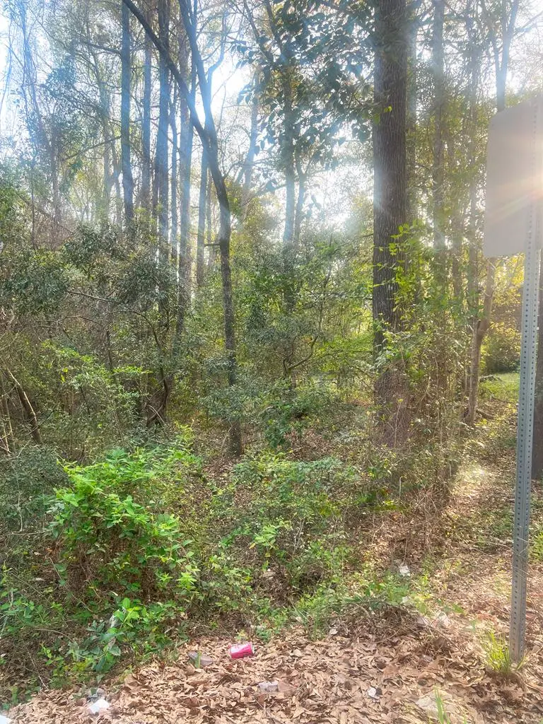 0 4th Street, Phenix City, AL 36869 - Image #2