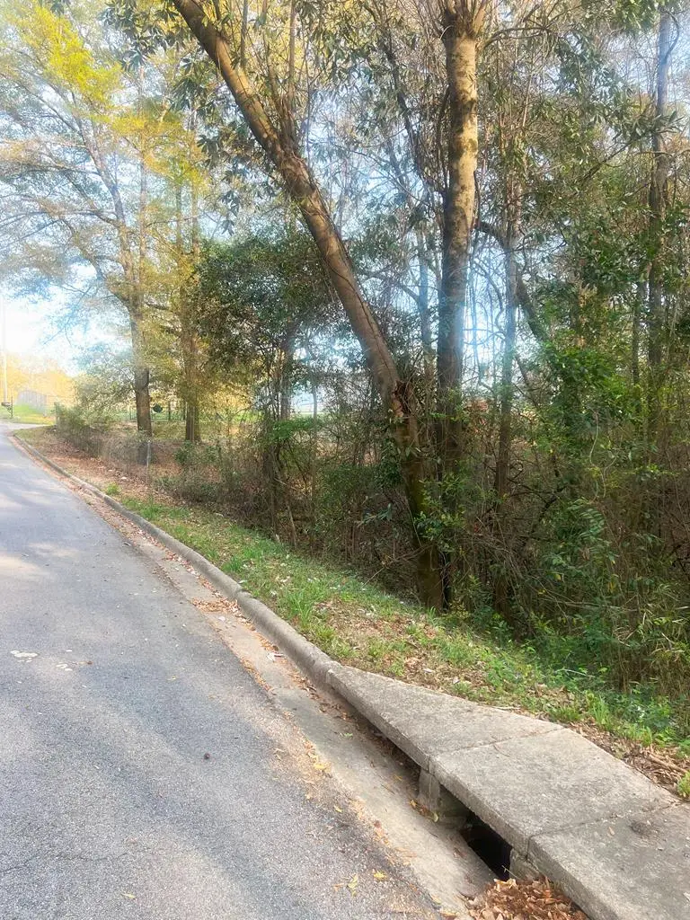 0 4th Street, Phenix City, AL 36869 - Image #3