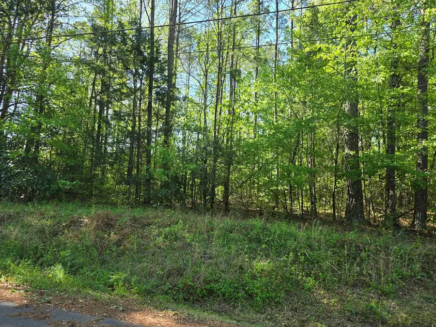 0 Hickory Circle, Waverly Hall, GA 31831 - Image #2